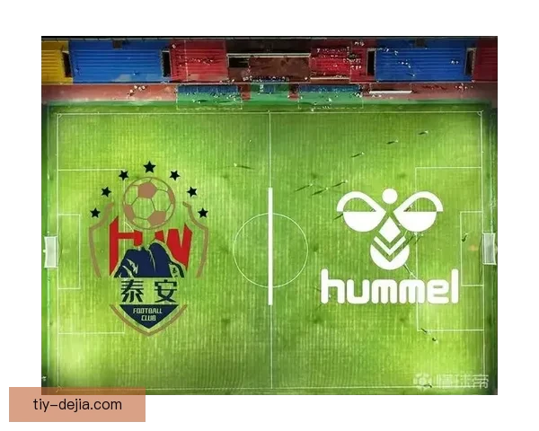 泰安天贶牵手HUMMEL装备 泰安天贶牵手HUMMEL装备